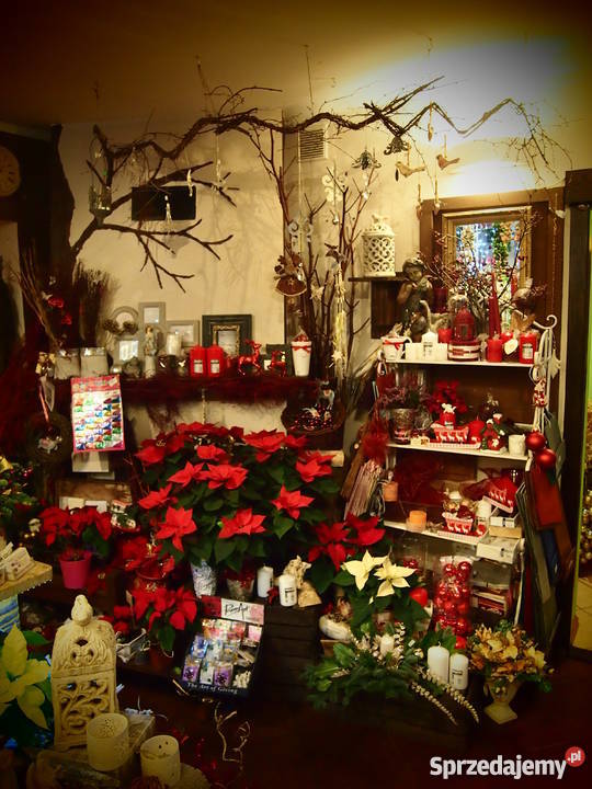 Sprzedam asortyment kwiaciarni Olsztyn sprzedam