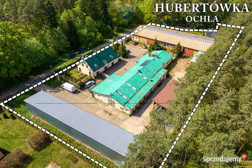 Doskonała okazja koniarzy i nie