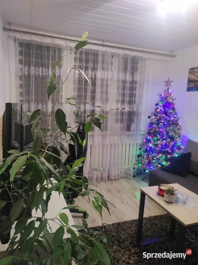 Mieszkanie na sprzedaż 36m2 Michalów