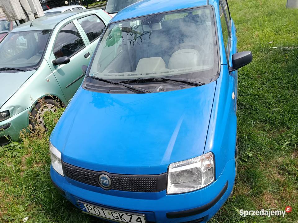 Fiat Panda 11 2003 r na sprzedaż Rok produkcji 2003 Szklarka Myślniewska sprzedam