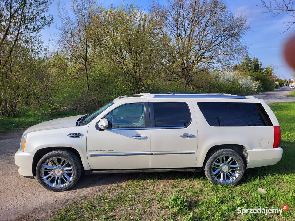 CADILLAC ESCALADE ESV PLATINUM 62 V8 BIAŁA PERŁA Poznań