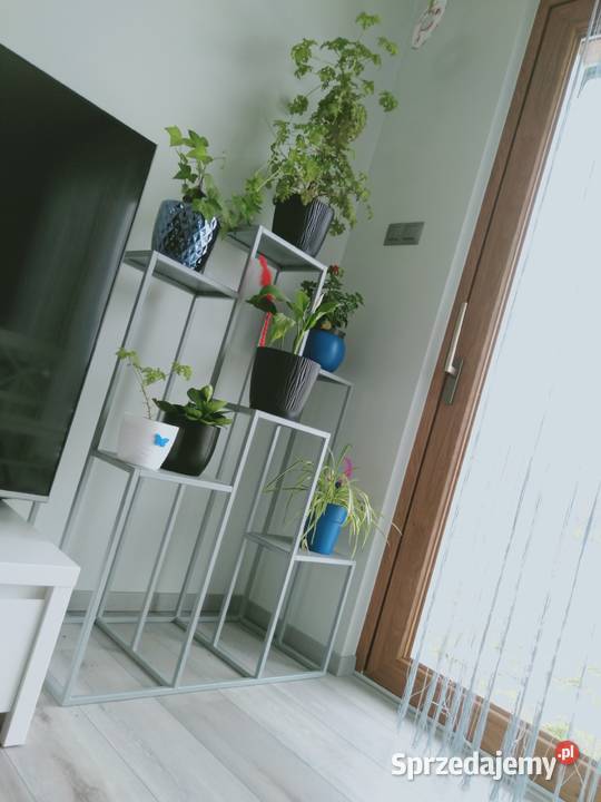 Duży kwietniki 6 stanowisk producent Oświęcim