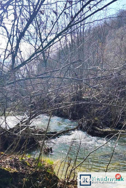 sprzedaży gruntu 3992m2 Wołkowyja 98zł/m2 sprzedam