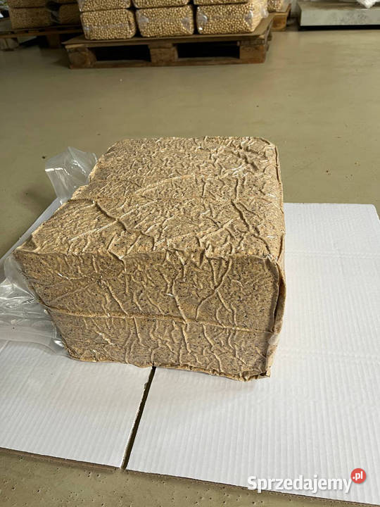 Jadro orzecha laskowego 1315 mm Gruzja Białystok