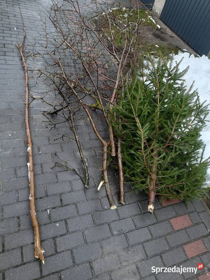 Rebak elektryczny do gałęzi Narzędzia ogrodnicze Nowodwór