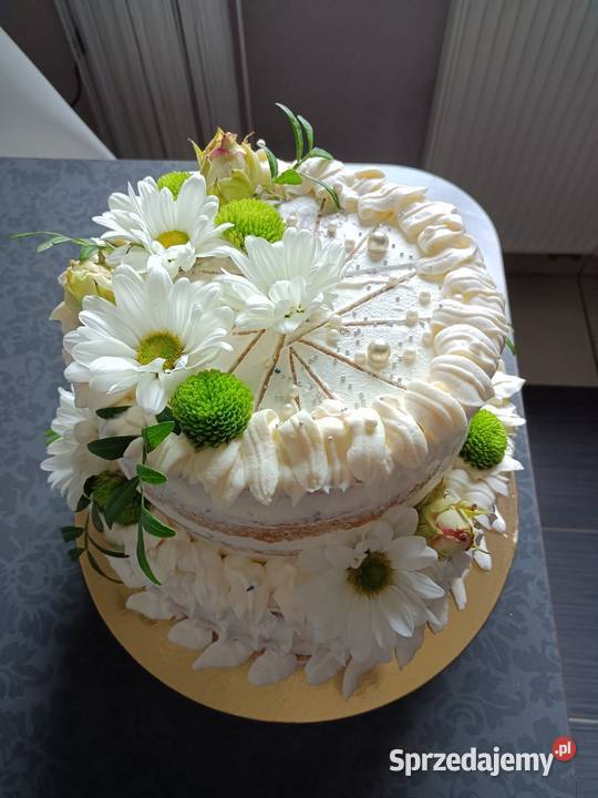 Torty i Ciasta Wrocław