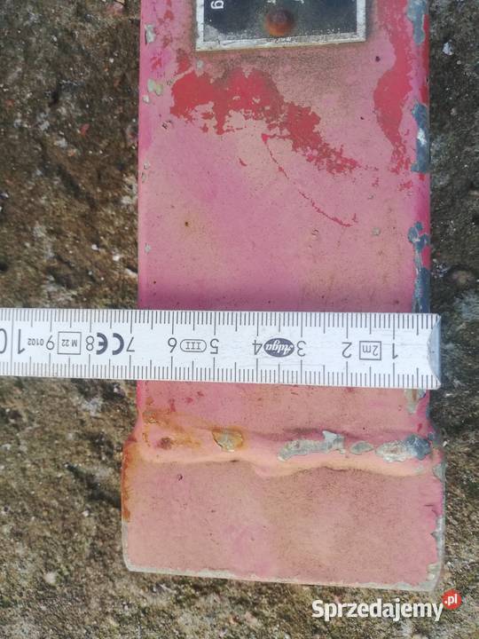 Belka przednia wielkopolskie