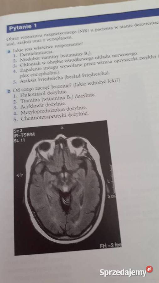 Przygotowanie do praktycznych egzamów Szczecin