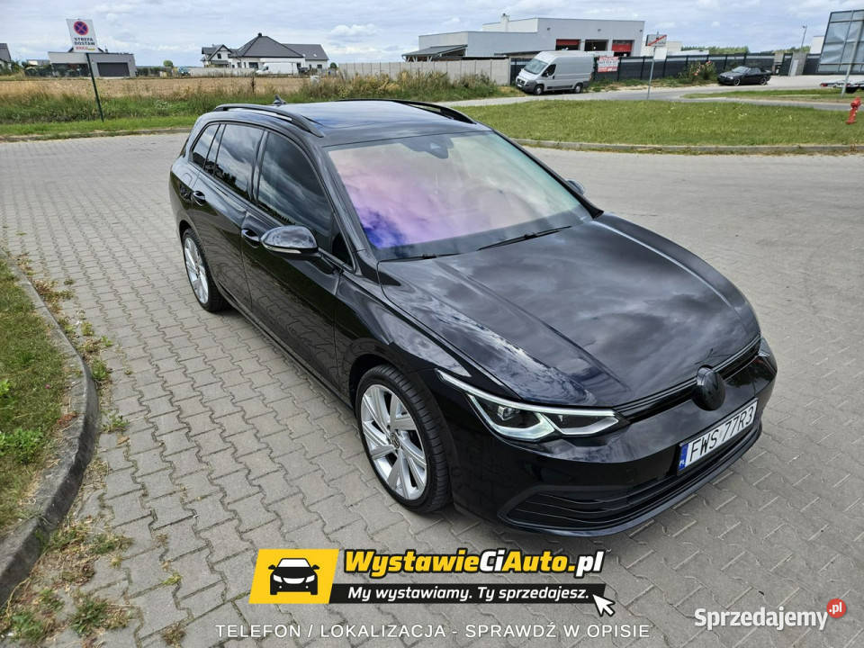 Volkswagen Golf Telefon 781504903 Wschowa VIII Golf Włocławek