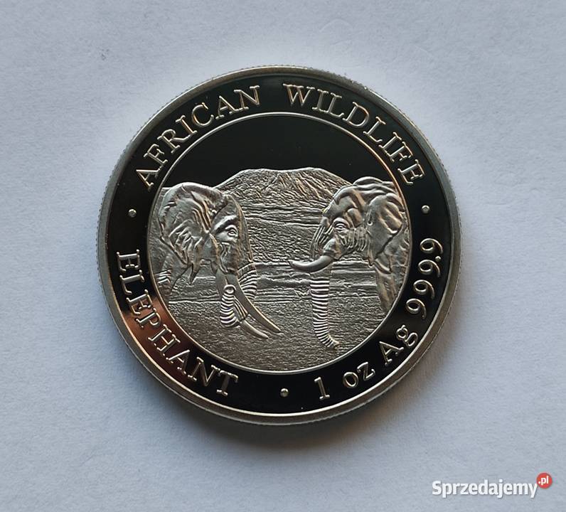Moneta SOMALIA 100 SHILLINGS 2020 SŁONIE Pruszków sprzedam