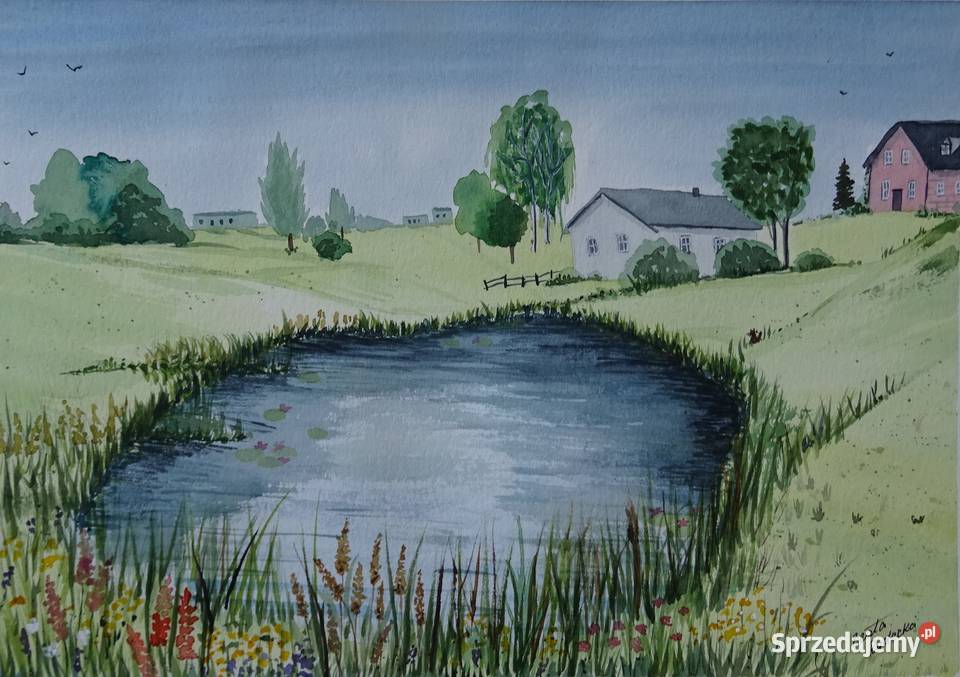 Akwarela Akwarelka Obraz pt Lato w Filipowie Antyki, Sztuka, Kolekcje Aleksandrów Łódzki