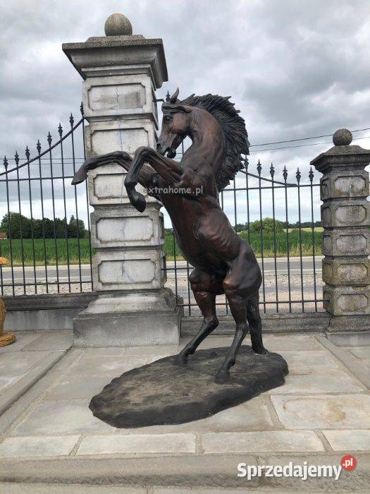 Koń Mustang z brązu Koń z brązu 11 Szczecin