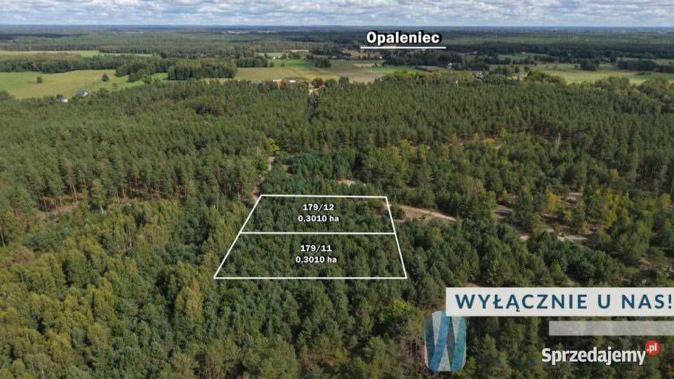 Ogłoszenie działka Opaleniec 3007m2