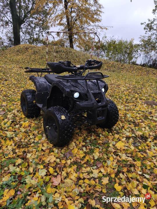 quada 125ccm wersja 3biegowa benzyna Gostynin