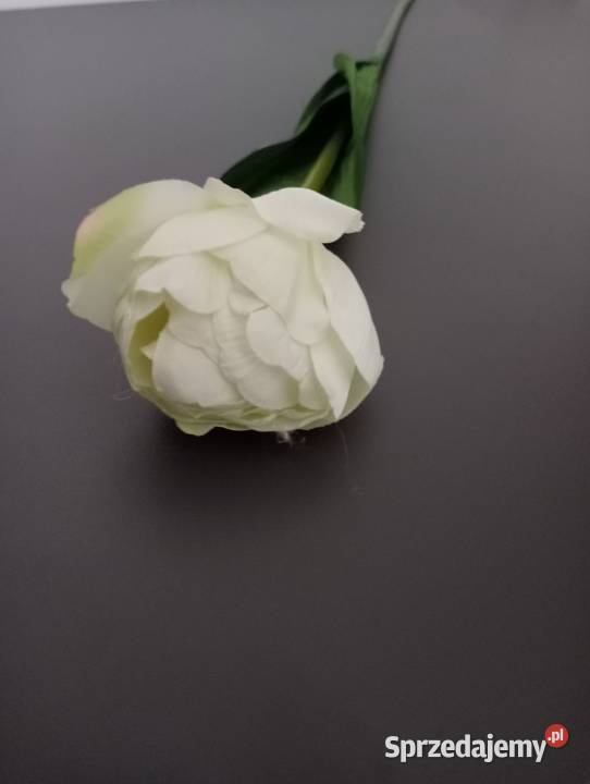 Tulipany sztucznetulipany białetulipany żółte wielokolorowy Radom sprzedam