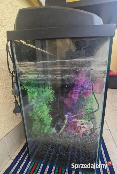 Akwarium 75 L z pokrywą Aquael mazowieckie