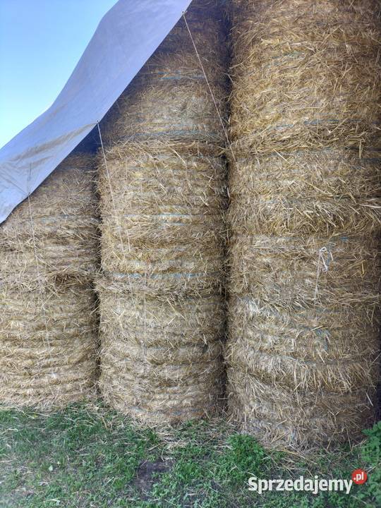 SŁOMA Rolnictwo Kock
