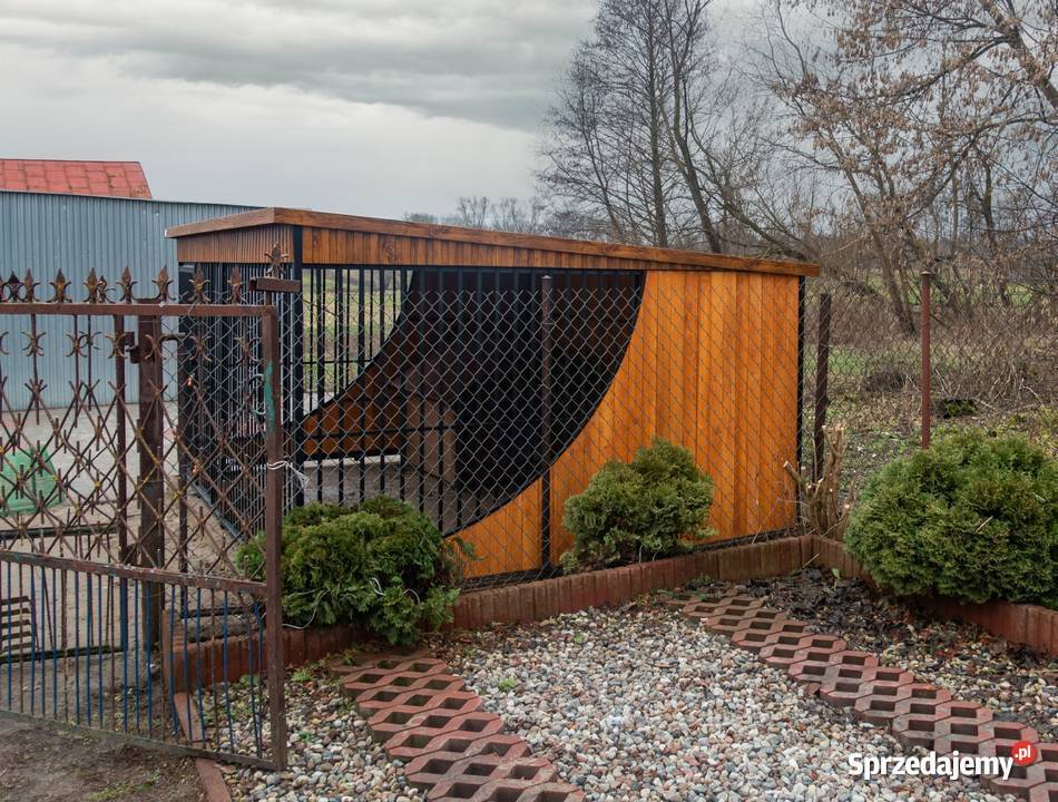 Kojec Mocny Psa Psów z podłogą miskami Ewelin