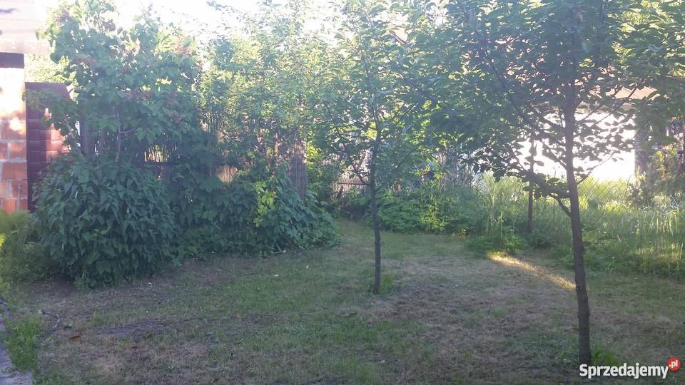 Sprzedam działkę ROD Warszawa Bemowo 300 m2 sprzedam