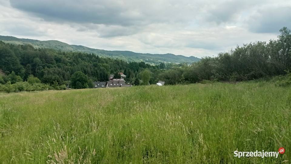 DZIAŁKI W JASIENICY ROSIELNEJ Jasienica Rosielna