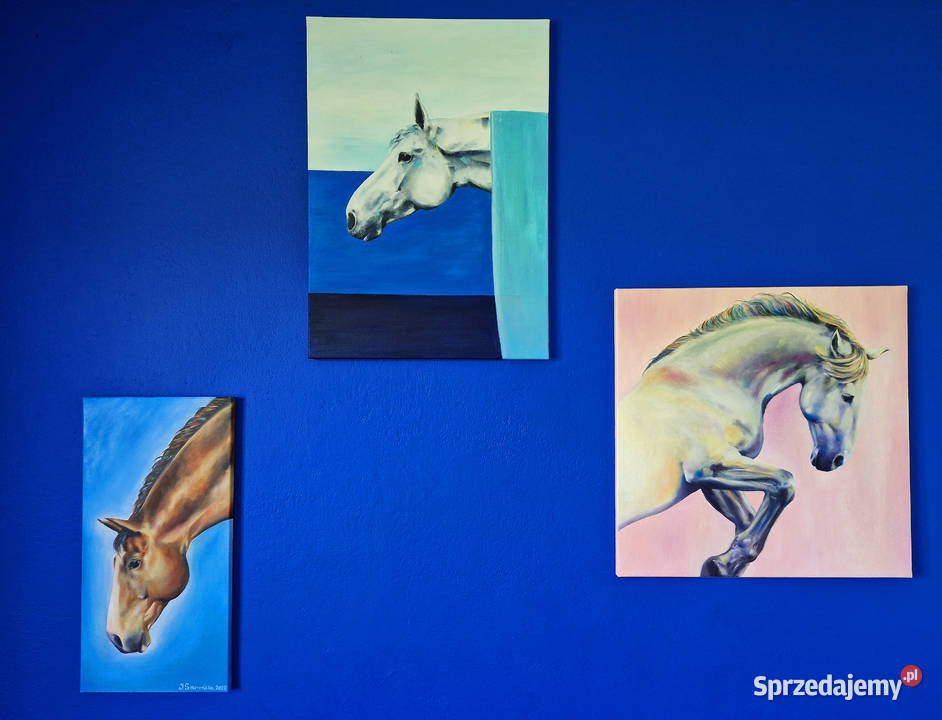 Obraz koń malarstwo olejne 60x60 Nowy Sącz