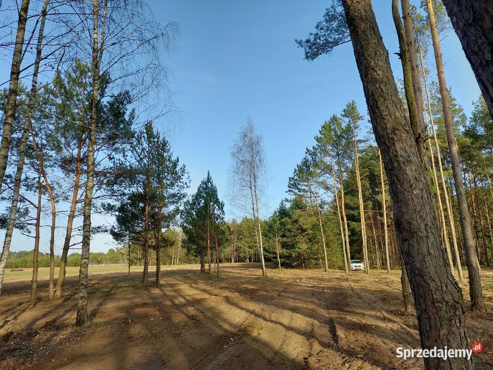 Rogóźno 1261m2 piękna działka rzeki i lasu mazowieckie