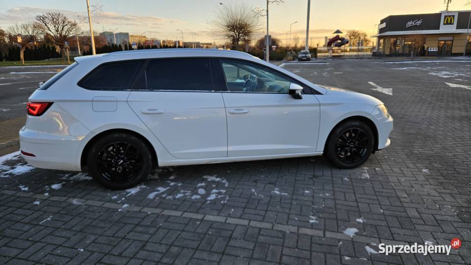 SEAT LEON 16TDI DSG diesel Leon sprzedam