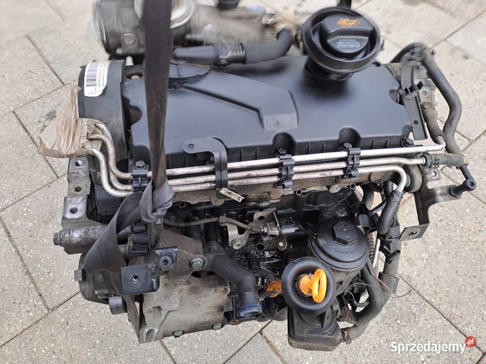 Volkswagen Touran 19 TDi silnik kompletny kod Rok produkcji 2007