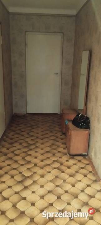 Dom z działka i budynkami gospodarczymi Sprzedaż Olszanka