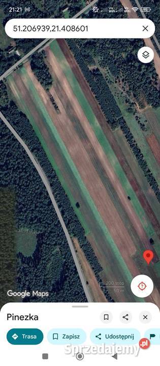 Działka Leśno Rolna 11 ha Las Zieleń Trasie Czerwona