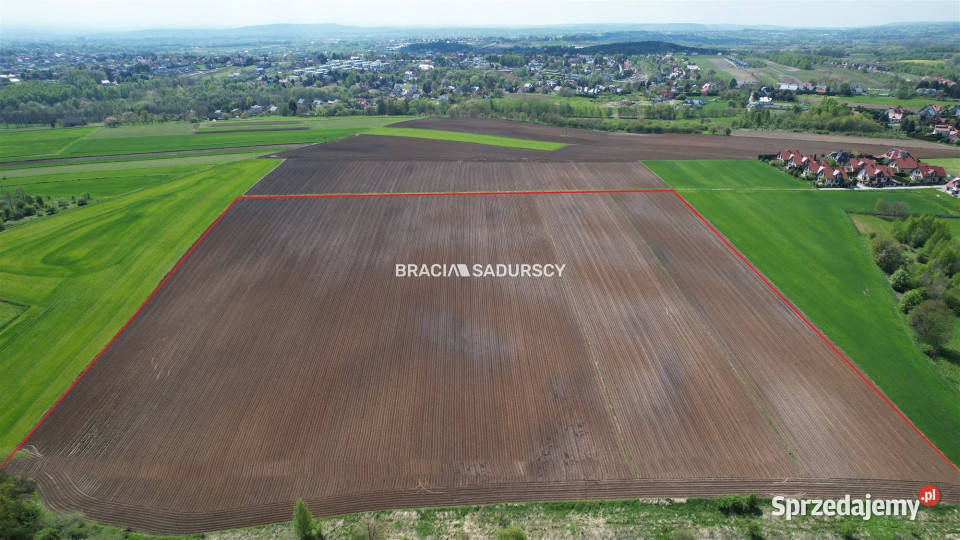 Działka 30420m2 Młodziejowice sprzedam