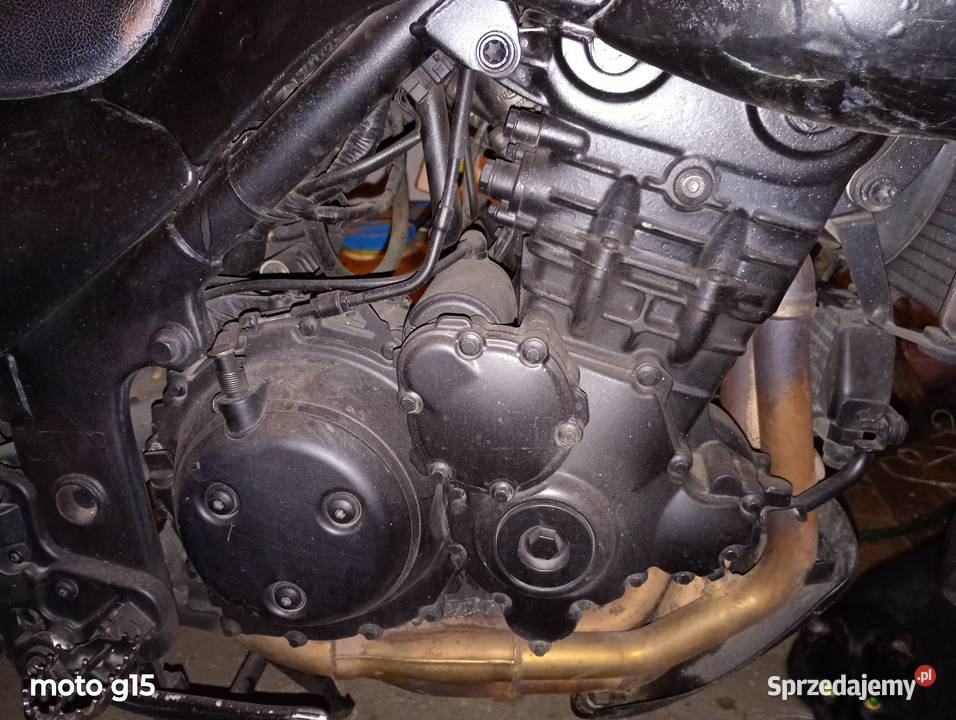 triumph tiger 955i 855i Mrozy sprzedam