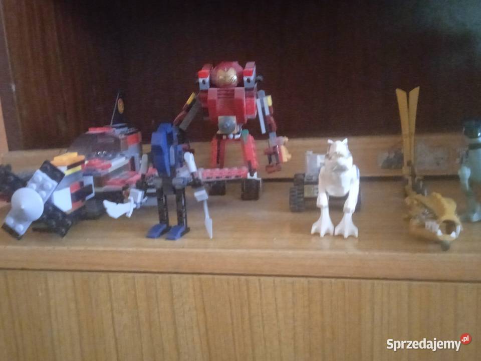 LEGO klocki z dodatkami Okonek