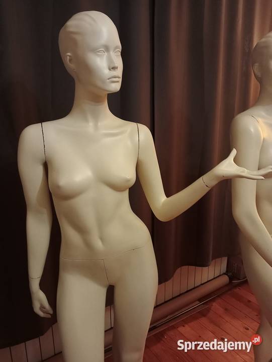 Manekiny krawieckiesklepowe zestaw 22 sztuki śląskie Jaworzno