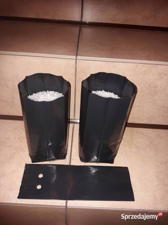 DONICZKI DO WINOROŚLI 100 Lublin sprzedam