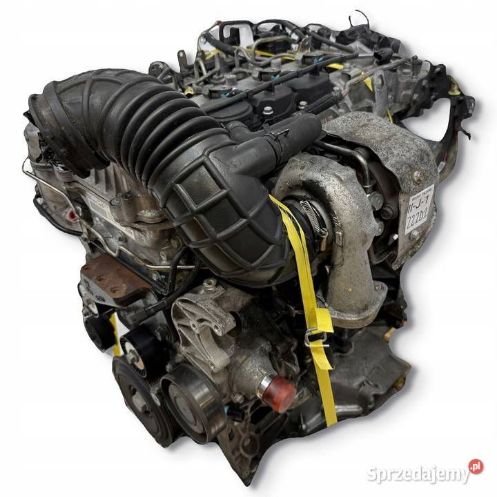 SILNIK Z22D1 Opel Antara Chevrolet Captiva 22 osobowe lubelskie