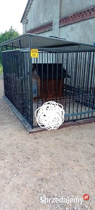 Sprzedam kojec kujawsko-pomorskie Radomin