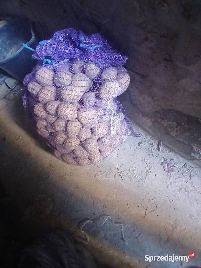 Ziemniaki sadzeniaki odmiana tajfun Gorajec-Stara Wieś sprzedam