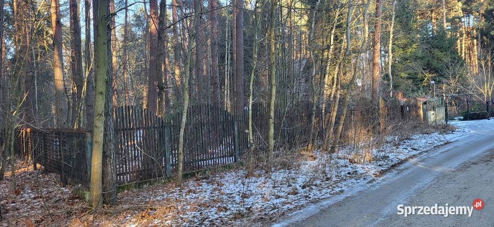 ŻarkiLetnisko Wiejska działka 4225 m2 Żarki-Letnisko