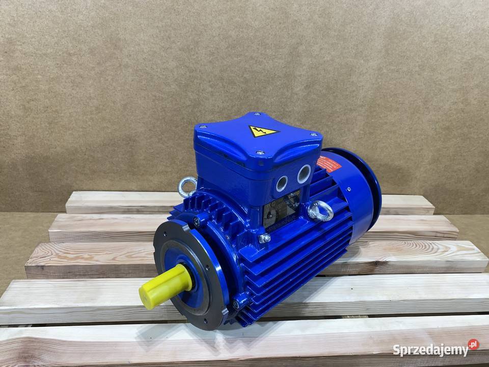 silnik elektryczny 3kW 2910obr 3fazowy Ex Pozostałe Pigża