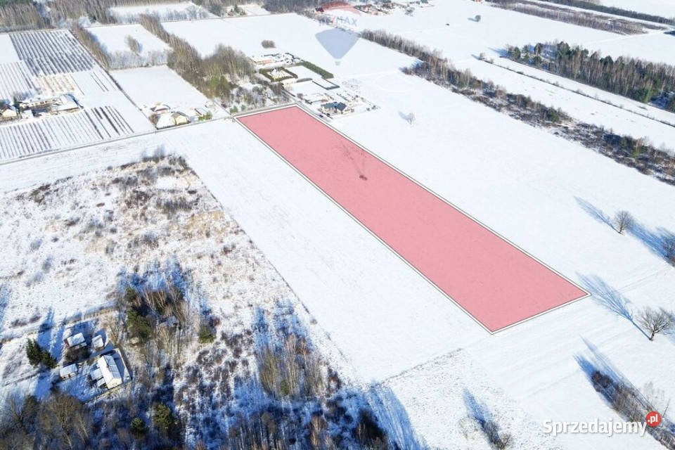 Działka siedliskowa 234 ha GrzmiącaŻabia Wola rolna