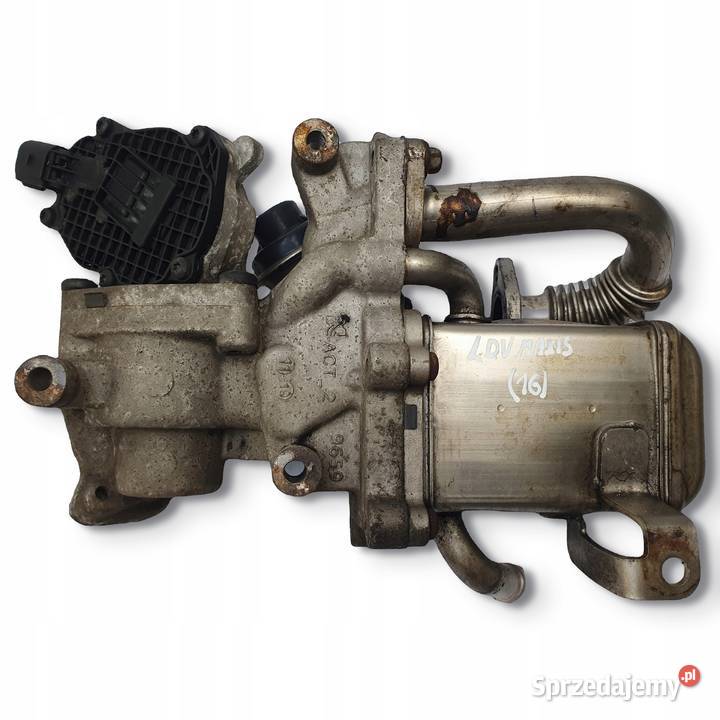 CHŁODNICA SPALIN Maxus V80 25 D oryginał Chełm