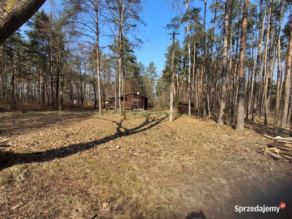 Grunt 2800m2 Sięganów