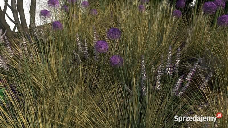 Projektowanie ogrodów pomorskie Banino