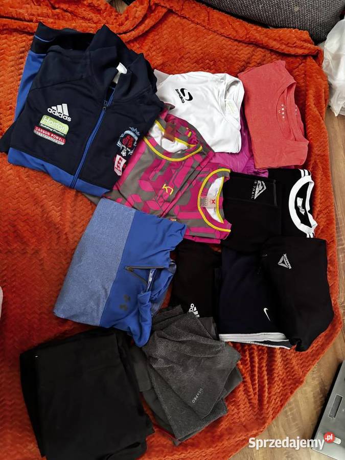 Sort Anglia bez odpadu gotowe do odsprzedaży Bez wzoru Kolbuszowa