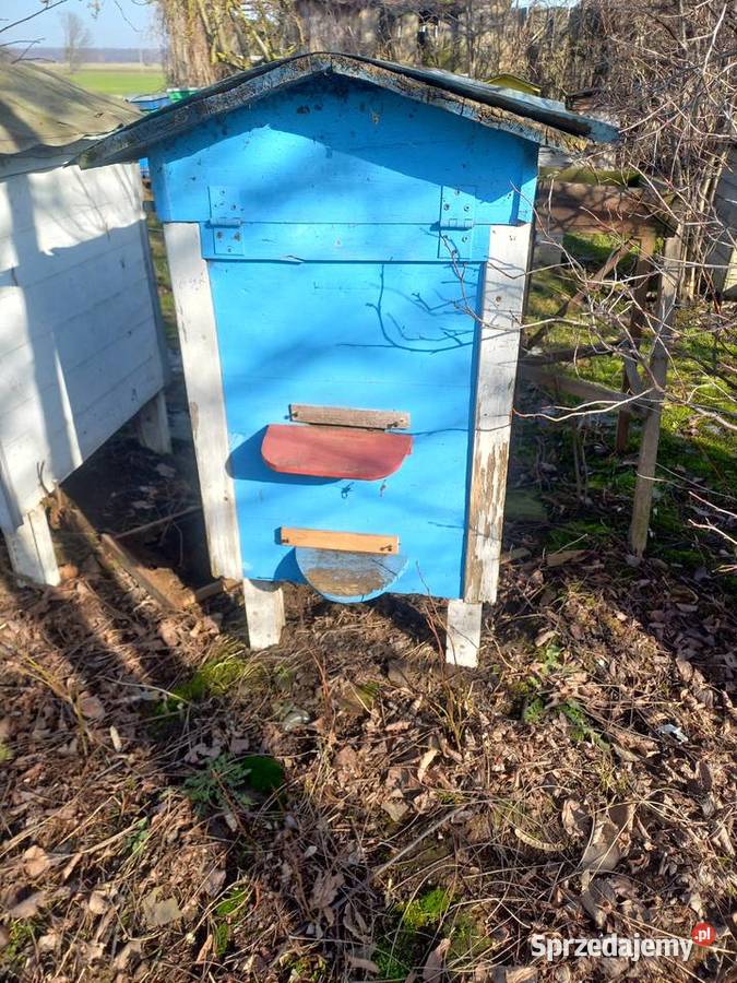 Sprzedam pszczoły z ulami Czeberaki