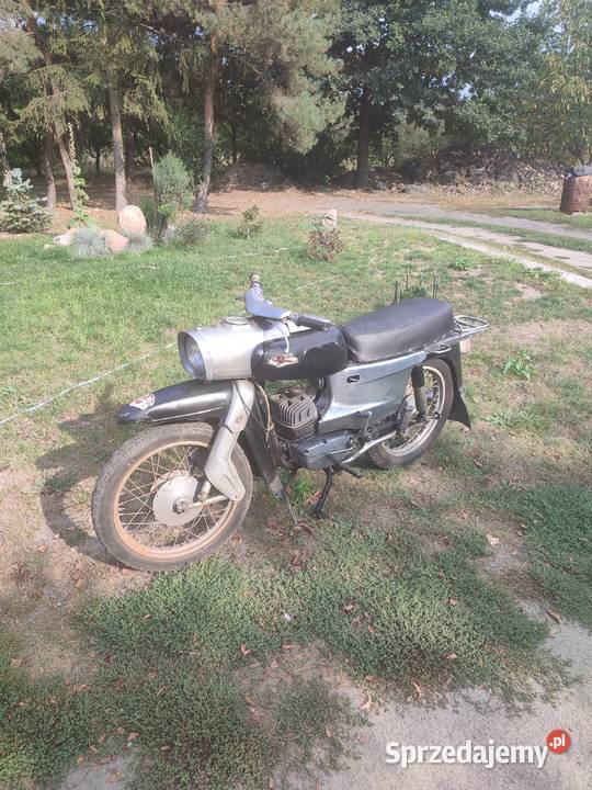 shl m17 Gazela Brzozów Stary