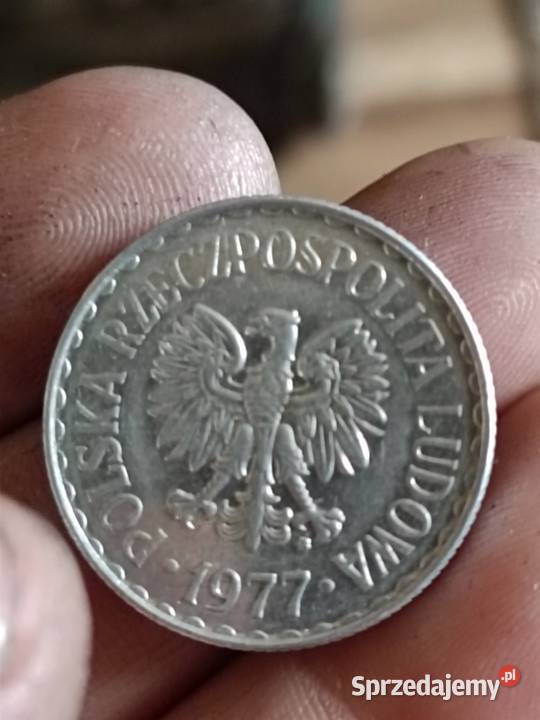 Sprzedam 1 zl 1977r zzm nierowne ranty blad Chełm sprzedam