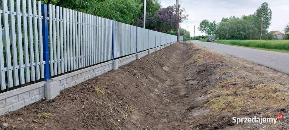 Usługi Ogrodnicze Koszenie trawników świętokrzyskie