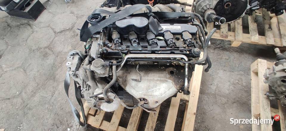 SILNIK KOMPLETNY 25 BENZYNA BGP VW GOLF V JETTA Silniki kompletne Rudziniec sprzedam